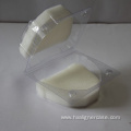 PVC Plastic Transparent Denture Storage Cases With Sponge